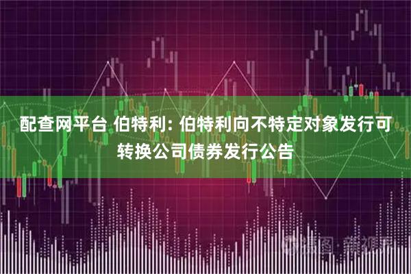 配查网平台 伯特利: 伯特利向不特定对象发行可转换公司债券发行公告