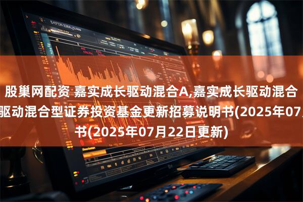 股巢网配资 嘉实成长驱动混合A,嘉实成长驱动混合C: 嘉实成长驱动混合型证券投资基金更新招募说明书(2025年07月22日更新)