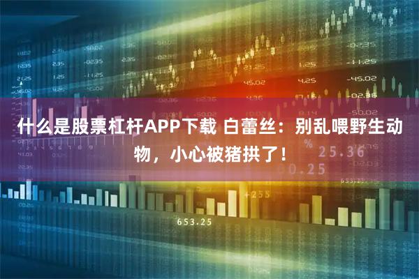 什么是股票杠杆APP下载 白蕾丝：别乱喂野生动物，小心被猪拱了！